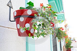 Estepona street with colorful spotted red plantpots