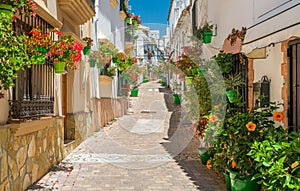 The beautiful Estepona, little and flowery town in the province of Malaga, Spain. photo
