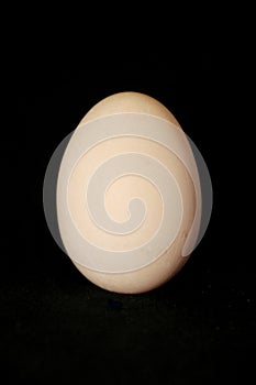 Ester egg
