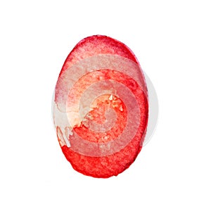 Ester Egg Water color