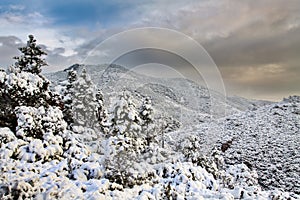 Esterel mountains under snow, france