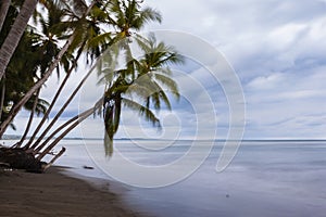 Esterillos Oeste beach, Costa Rica photo