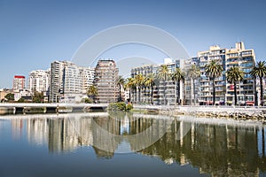 Estero river - Vina del Mar, Chile