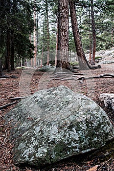 Estes Park Colorado Rocky Mountain Forest Landscape photo