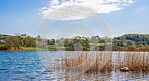 Esthwaite water