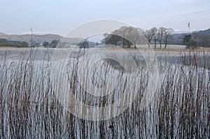 Esthwaite in winter