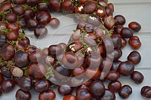 Ð¡estnut plants. Abstract pattern of natural brown chestnuts.