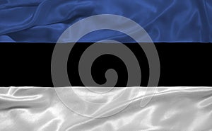 Estonia Flag 3