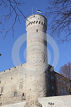 Estonia, Tallinn, Toompea Castle and Tall Hermann Tower