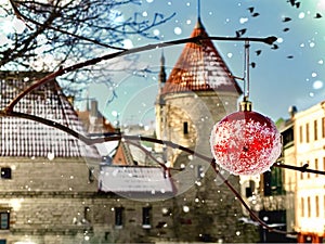 Estonia .Tallinn .winter in old town  red Christmas ball  on tree in city park .snowflakes, travel to Europe Estonia romantic back