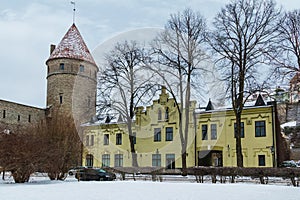 Estonian Academy of Art and Nun`s Tower photo