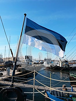 Estonian flag waving