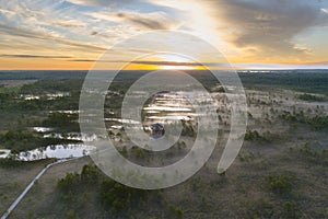 Estonian nature, landscape in the early foggy morning at sunrise in the viru swamp