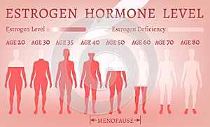 Estrógeno hormona nivel 