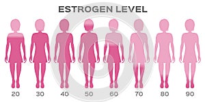 Estrogen Hormone Level vector / woman