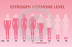 Estrogen hormone levels chart, menopause, vector