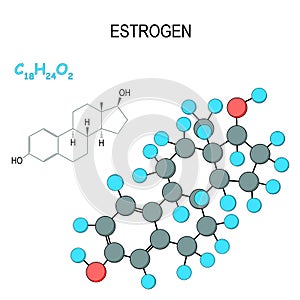 Estrogen. Chemical structural formula and model of molecule. C18H24O2 photo