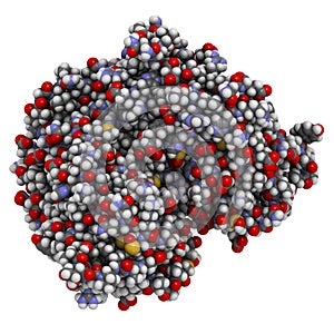 Estrogen receptor (ligand binding domain), bound to bisphenol A (BPA). 3D rendering based on protein data bank entry 3uu7