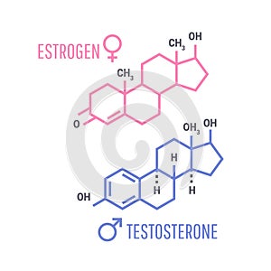 Estrogen and Testosterone Hormones symbol