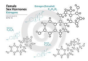 Estrogens. Estradiol, Estrone, Estriol. Female Sex Hormones. Structural Chemical Formula and Molecule Model. Line Design. Vector