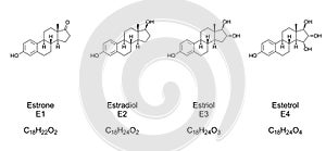 Major endogenous estrogens. Chemical structures and formulas photo