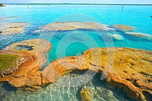 Stromatolites in Bacalar Lagoon of Mexico