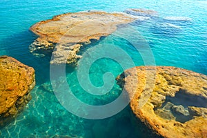 Stromatolites in Bacalar Lagoon of Mexico