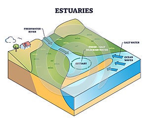 Estuaries water body structure with salt and freshwater outline diagram