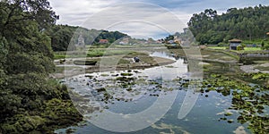 Estuario de, 