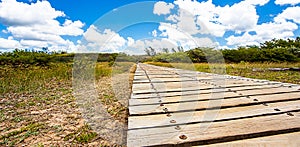 Estuary Boardwalk