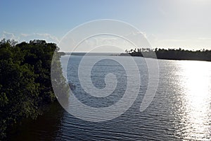 Estuary in the forest