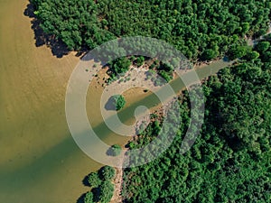 Estuary river and forests overlook by drone DJI mavic mini photo