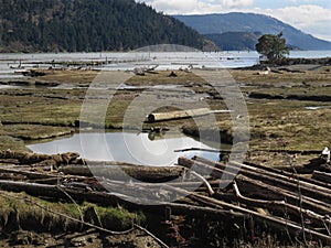 Estuary tidal flats.