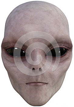 ET Space Alien Face Isolated