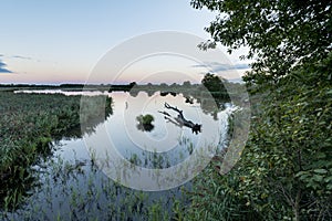 Etang or pond Ricot at reserve naturelle de chÃ©rine at natural