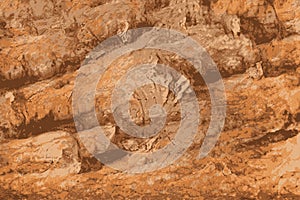 Etched texture of a rock climbing wall in the desert