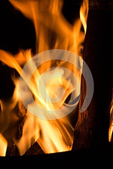 Etched wood on fire photo