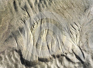 Etches In Sand By Nature photo