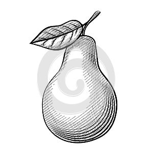 Etching pear