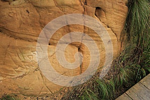 Etching on Rock Wall