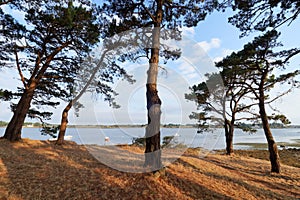 Etel river in Morbihan coast