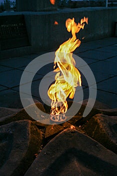 Eternal flame in the park. flame closeup.