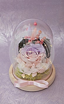 Preserved rainbow rose arrangement, everlasting flowers