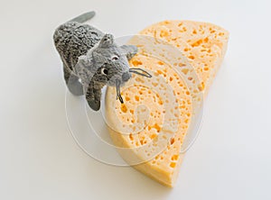 Eternal opposition: cheese and mouse