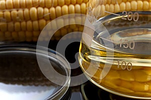 Ethanol as renewable fuel, sustainable green alternative to fossil fuels and biofuel solution concept with corn, glass beaker and