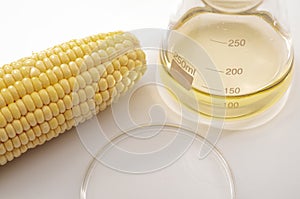 Ethanol as renewable fuel, sustainable green alternative to fossil fuels and biofuel solution concept with corn, glass beaker and
