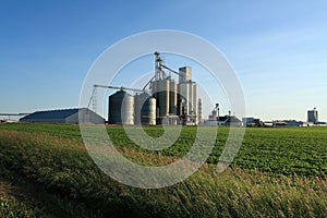 Ethanol is Grown