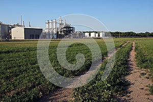 Ethanol Plant in Summer