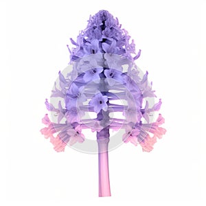 Ethereal 3d Hyacinth X-ray Illustration On White Background