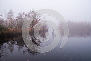 Ethereal Lakeside Mist at Dawn